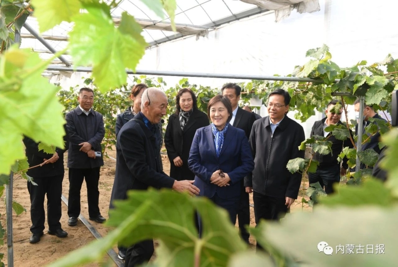 內(nèi)蒙古自治區(qū)主席：全力做好大氣污染聯(lián)防聯(lián)控聯(lián)治工作 確?！八{天保衛(wèi)戰(zhàn)”圓滿收官青海水土保持代辦公司