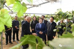 內(nèi)蒙古自治區(qū)主席：全力做好大氣污染聯(lián)防聯(lián)控聯(lián)治工作 確?！八{(lán)天保衛(wèi)戰(zhàn)”圓滿收官青海水土保持代辦公司